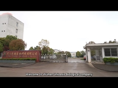 무한 유니오아시스 생물학적이 기술에 대한 회사 소개