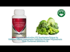 농업용 유기농 살충제, 유기농 채소, 차 식물, 면, 쌀.