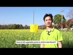 농업 생물학적인 곤충 살균제 잎겨드랑이 뚜라미 다이아몬드 턱 류 생물학적인 살충제