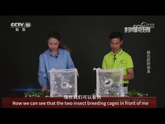 바이러스 살충제와 화학 살충제의 비교