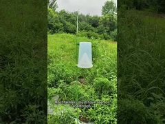 해충 함정 곤충 함정 비트 군인 벌레 옥수수 잎겨드랑이 벌레 브로콜리 함정