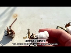 가장 효과적인 선택 HaNPV Bt 목화 작물 생물학 살충제