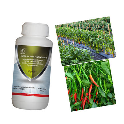 Eco-friendly Pesticide Prevent Helicoverpa Assulta for Tobacco Sweet Pepper Cotton Growth