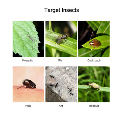 Natural Pyrethrin Insecticide Decomposes Into Water CO2 Exposed to Light Insect Control 
