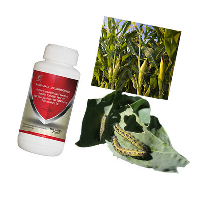 Agricultural cruciferous vegetable maize safe pesticide AcNPV bio insecticide factory 