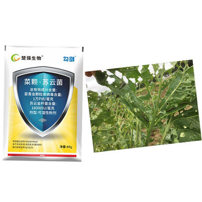 Organic Bacillus Thuringiensis Insecticide for Lepidoptera Pests